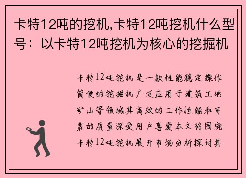 卡特12吨的挖机,卡特12吨挖机什么型号：以卡特12吨挖机为核心的挖掘机市场分析